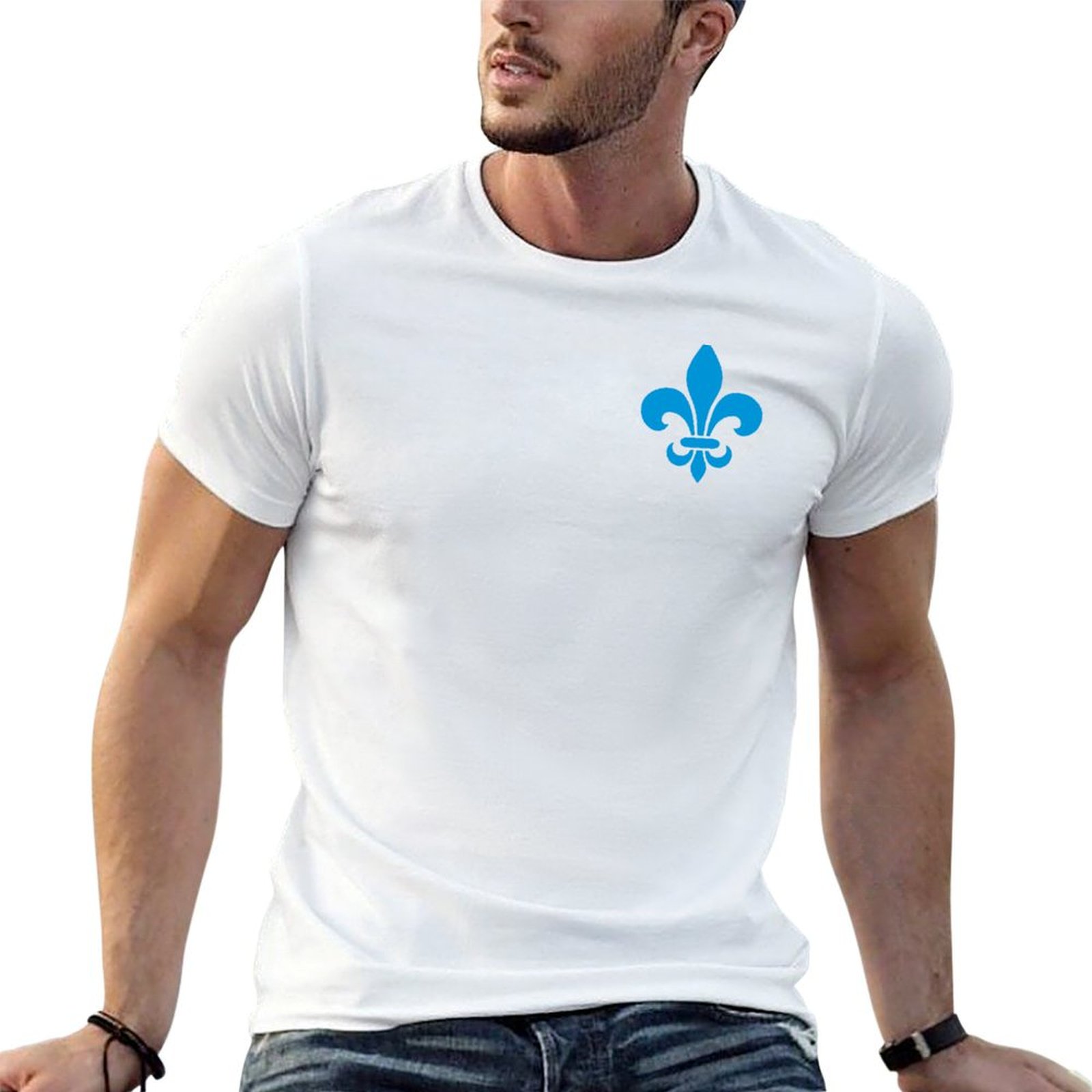 Quebec France blue fleur de ly - đánh giá và giá Printing Qc