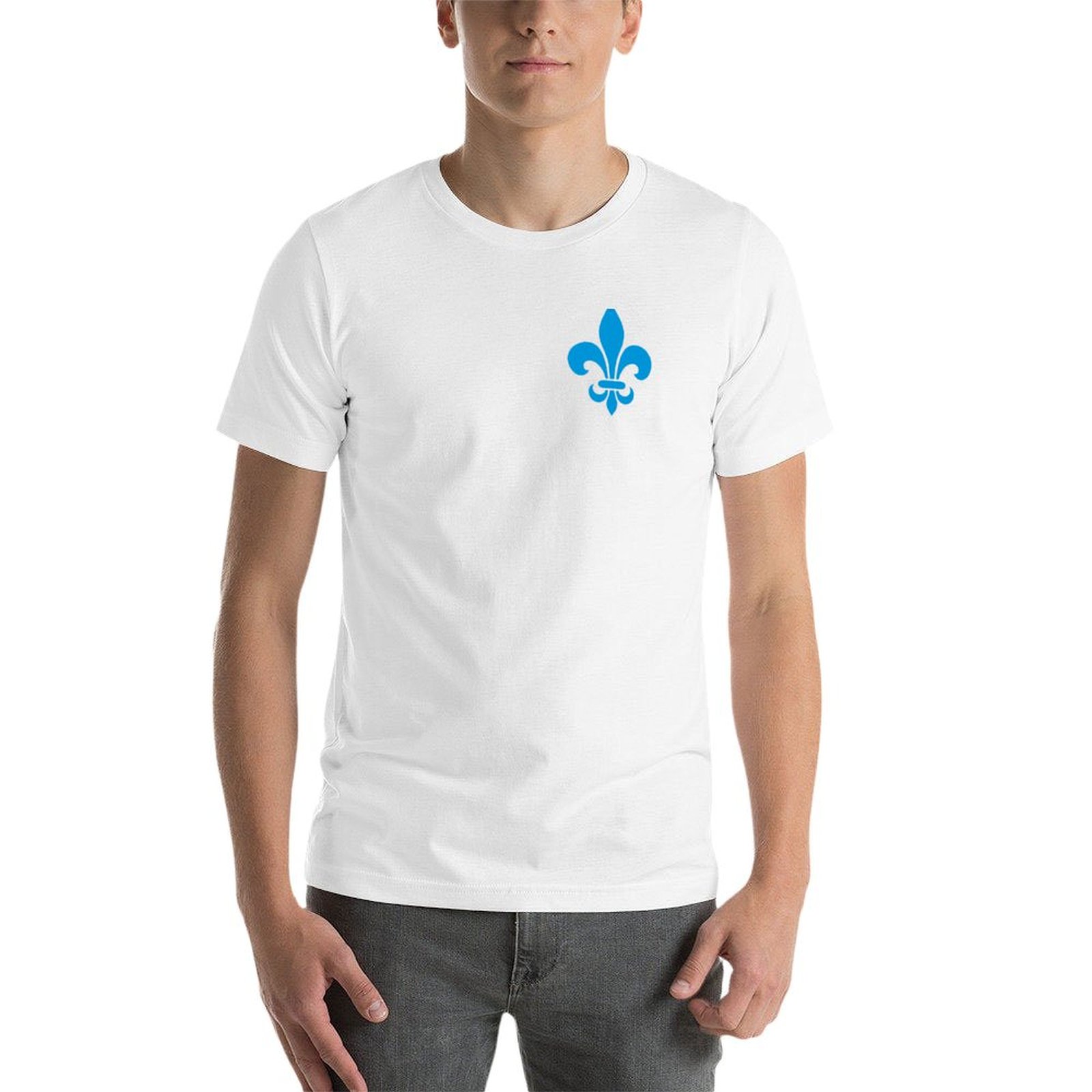 Quebec France blue fleur de ly - đánh giá và giá Printing Qc
